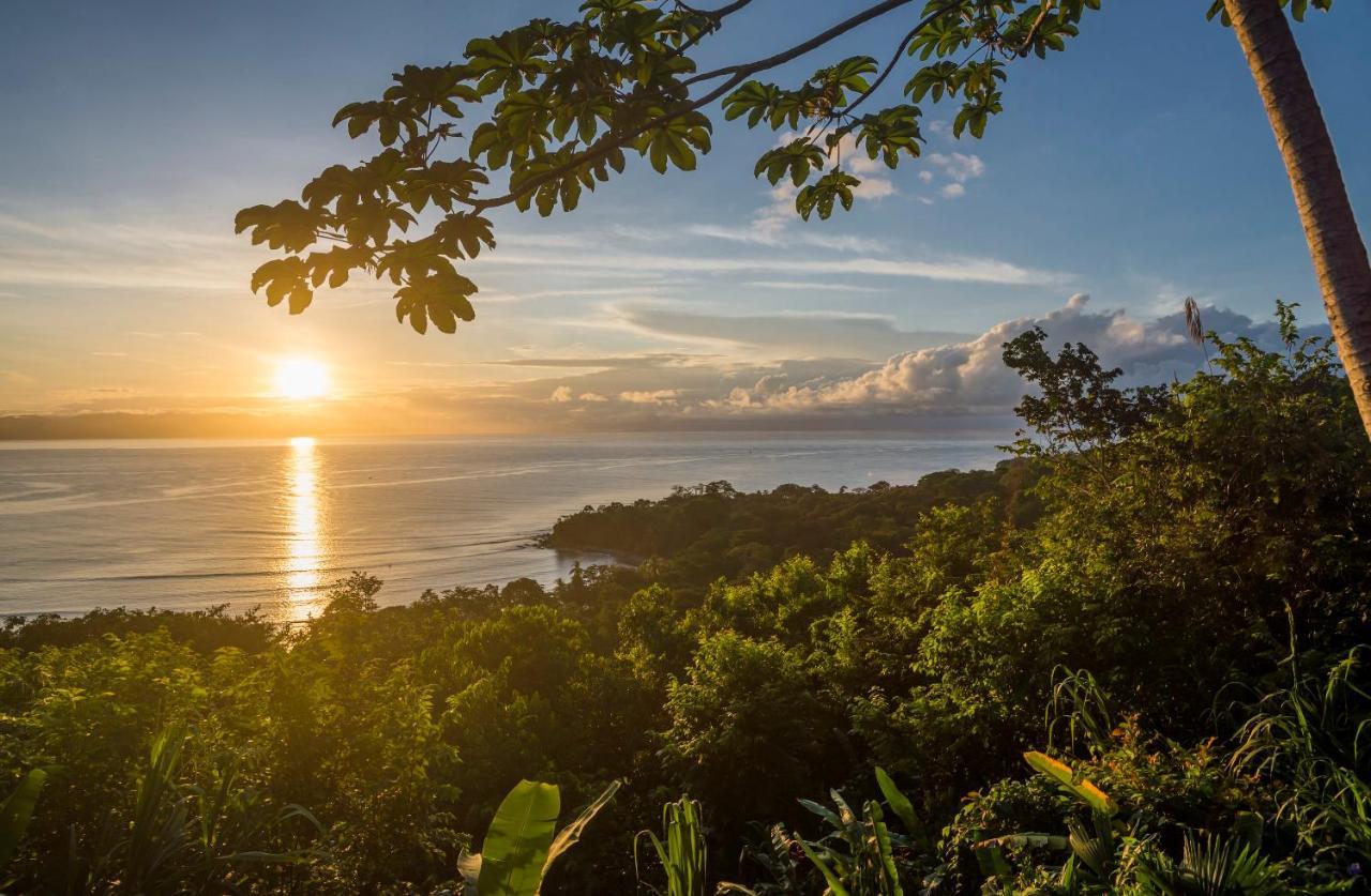 Lapa Rios Lodge By Boeena Puerto Jimenez Ngoại thất bức ảnh