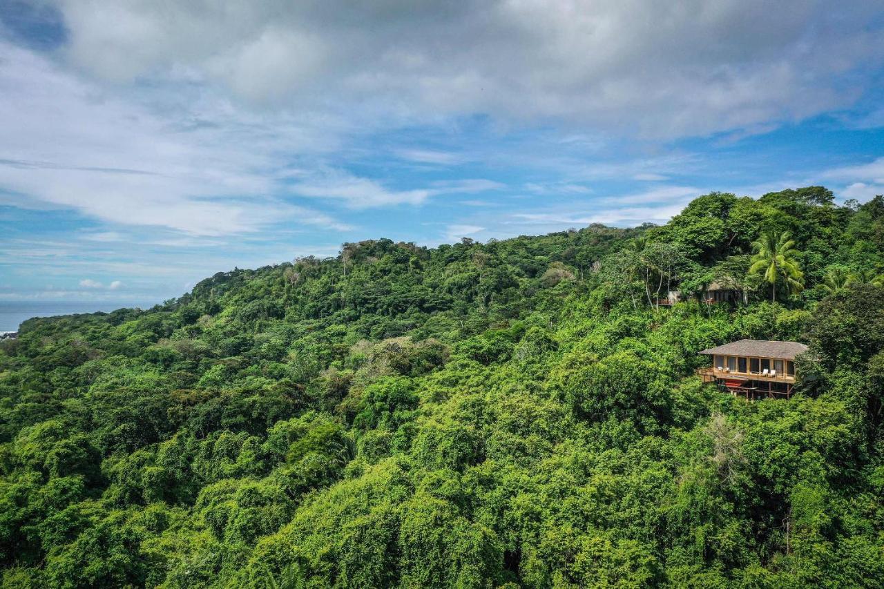 Lapa Rios Lodge By Boeena Puerto Jimenez Ngoại thất bức ảnh
