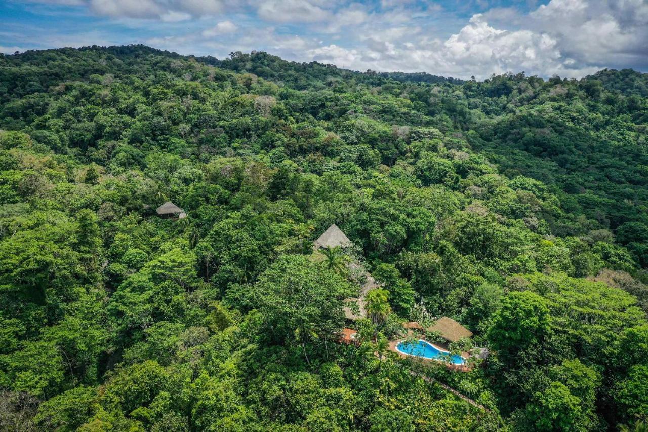 Lapa Rios Lodge By Boeena Puerto Jimenez Ngoại thất bức ảnh