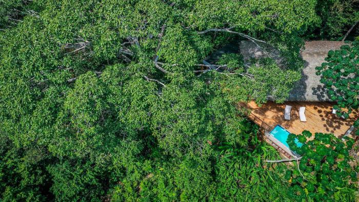Lapa Rios Lodge By Boeena Puerto Jimenez Phòng bức ảnh